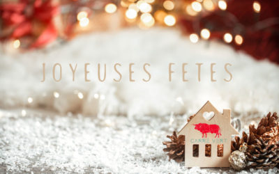 Découvrez nos menus de Fêtes